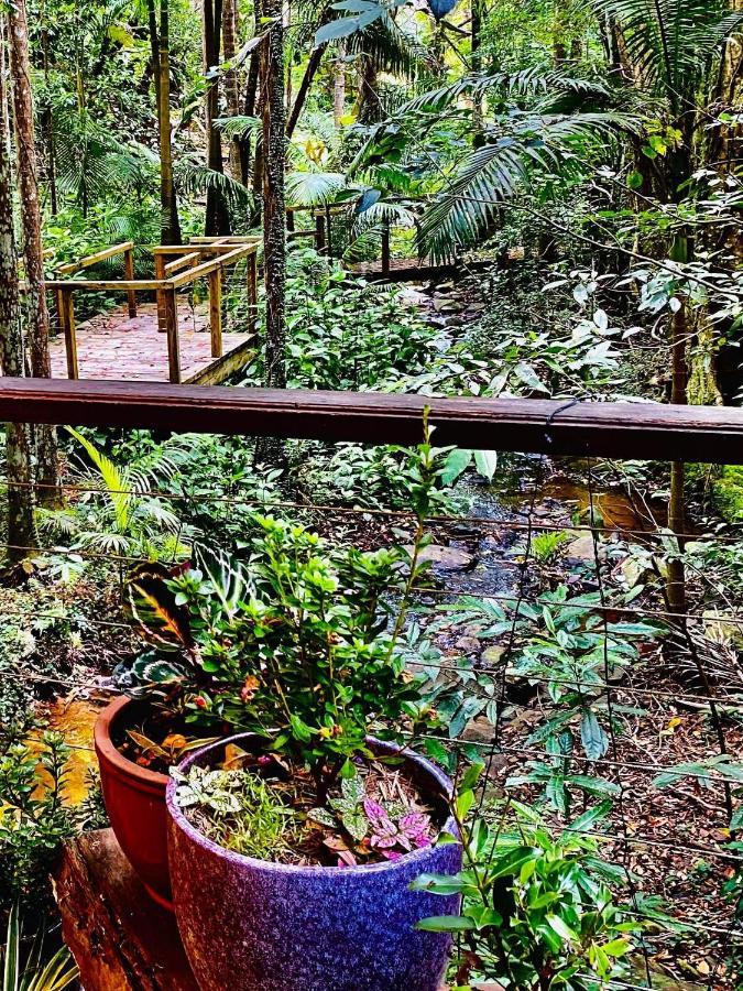 Treetops Монтвилл Экстерьер фото