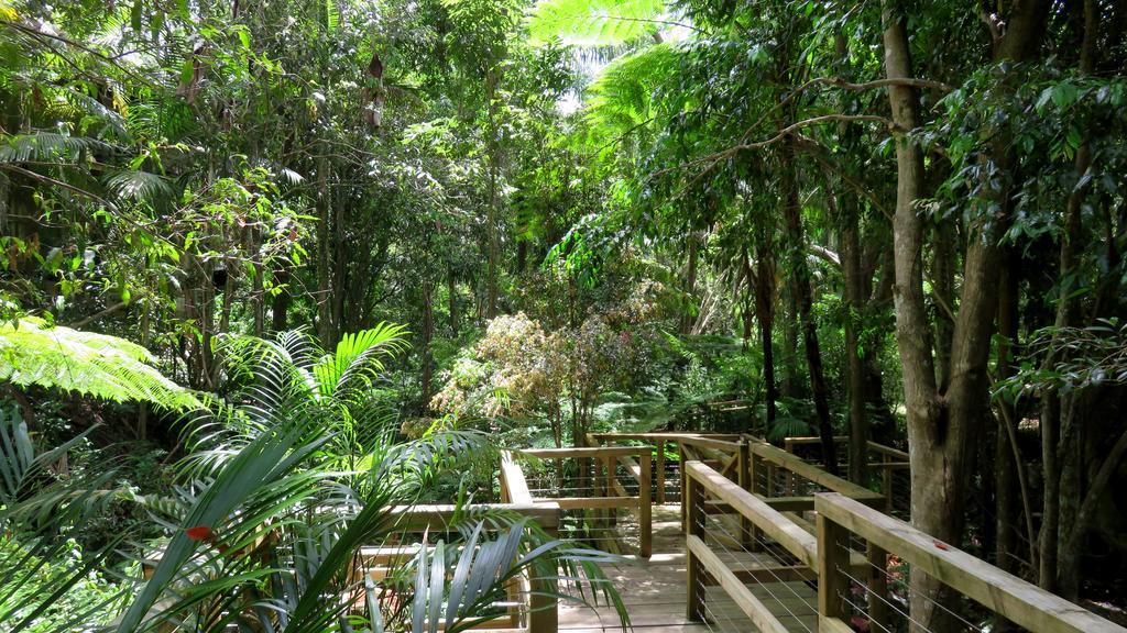 Treetops Монтвилл Экстерьер фото
