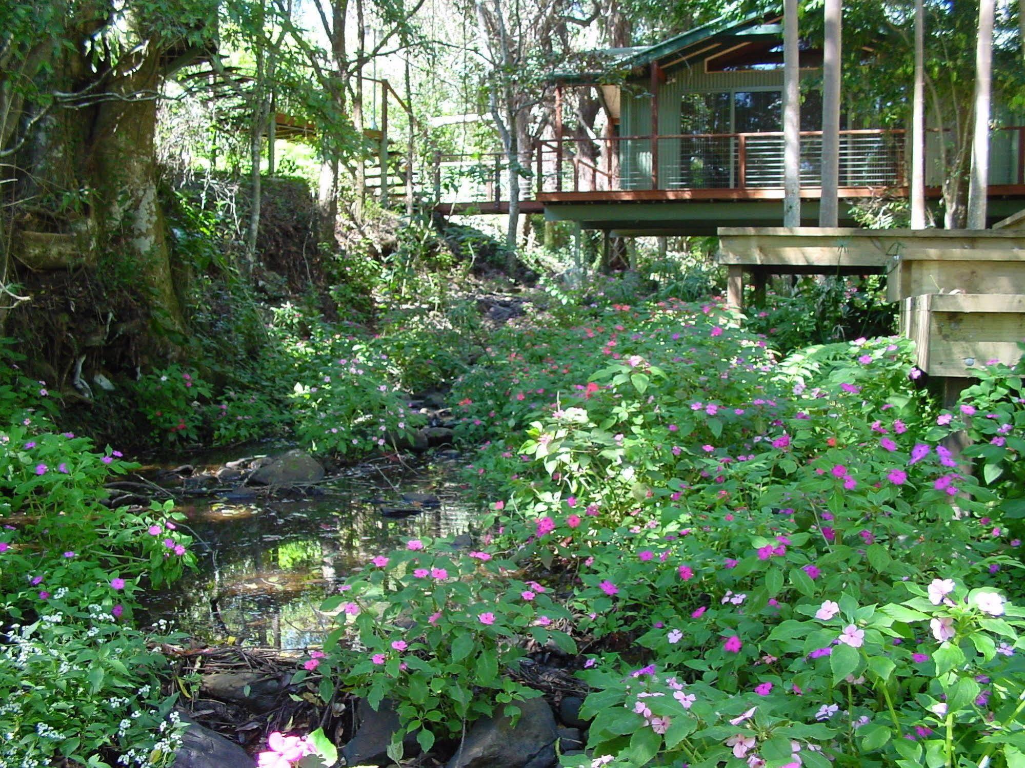 Treetops Монтвилл Экстерьер фото