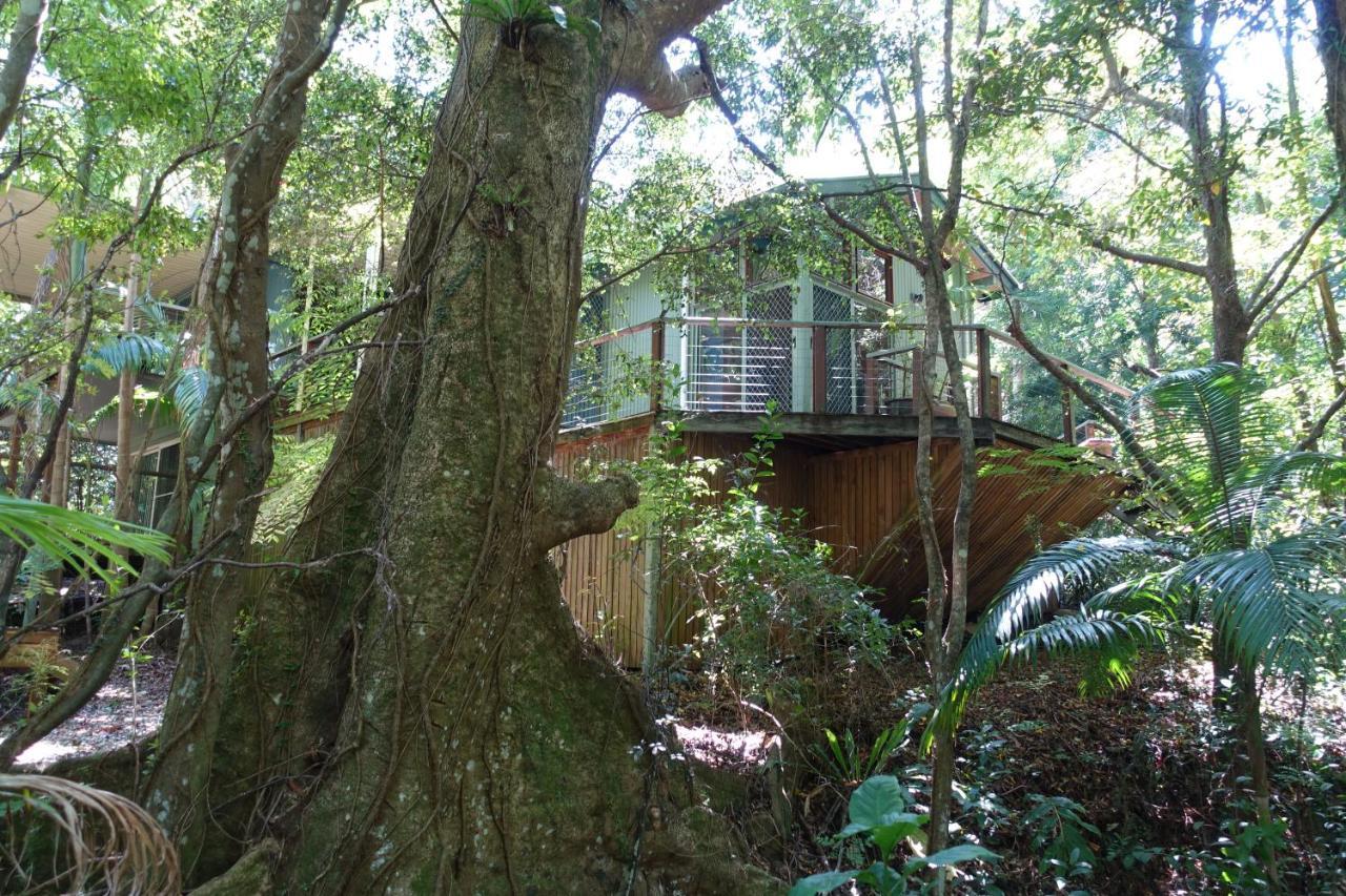 Treetops Монтвилл Экстерьер фото